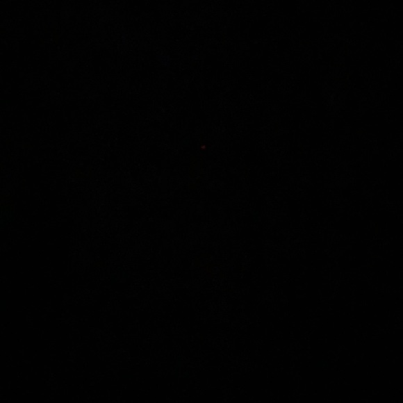 Meet your Posher, Gianna - Picture 1 of 1